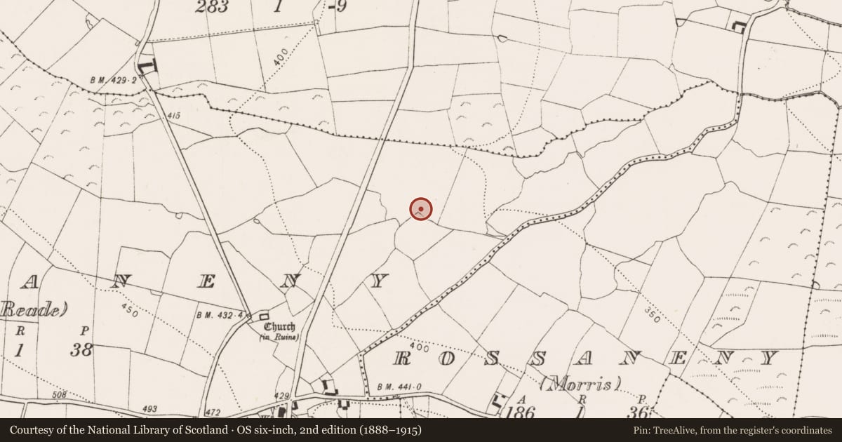 Ordnance Survey six-inch map, 2nd edition (1888–1915) covering the location of Moated site, Rossaneny (Reade), County Kilkenny, with a pin at the register's coordinates