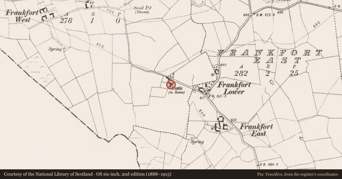 Ordnance Survey six-inch map, 2nd edition (1888–1915) covering the location of Castle - unclassified, Frankfort West, County Kilkenny, with a pin at the register's coordinates