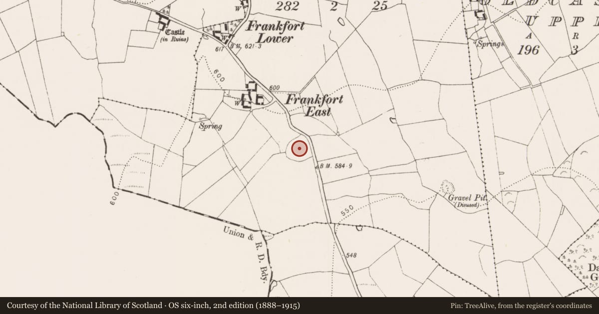 Ordnance Survey six-inch map, 2nd edition (1888–1915) covering the location of Ringfort - unclassified, Frankfort East, County Kilkenny, with a pin at the register's coordinates