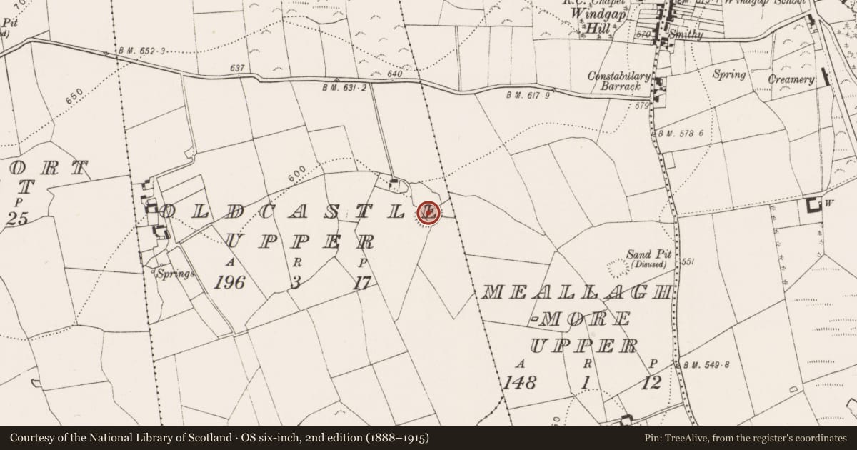 Ordnance Survey six-inch map, 2nd edition (1888–1915) covering the location of Enclosure, Oldcastle Upper, County Kilkenny, with a pin at the register's coordinates