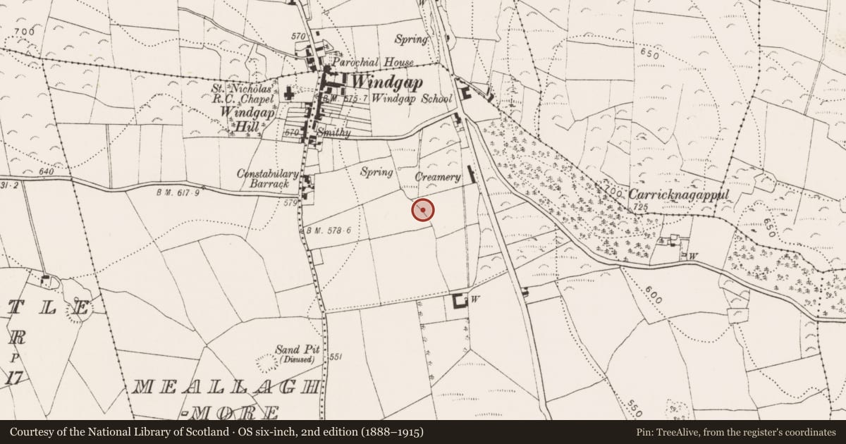 Ordnance Survey six-inch map, 2nd edition (1888–1915) covering the location of Megalithic structure, Coolehill Upper, County Kilkenny, with a pin at the register's coordinates