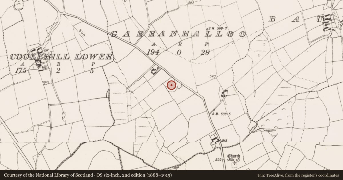 Ordnance Survey six-inch map, 2nd edition (1888–1915) covering the location of Ringfort - unclassified, Garranhalloo, County Kilkenny, with a pin at the register's coordinates