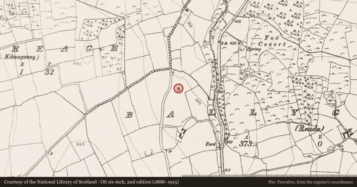 Ordnance Survey six-inch map, 2nd edition (1888–1915) covering the location of Earthwork, Ballygowan (Reade), County Kilkenny, with a pin at the register's coordinates