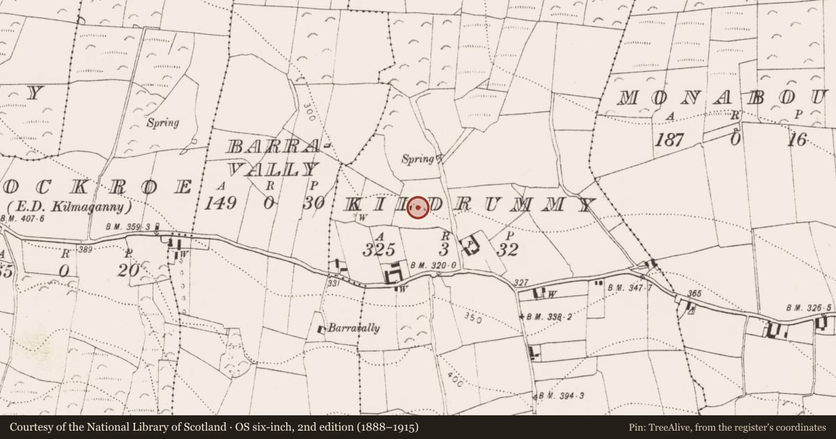 Ordnance Survey six-inch map, 2nd edition (1888–1915) covering the location of Church, Kildrummy, County Kilkenny, with a pin at the register's coordinates