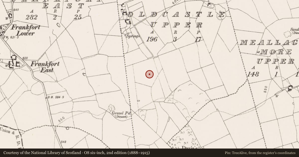Ordnance Survey six-inch map, 2nd edition (1888–1915) covering the location of Fulacht fia, Oldcastle Upper, County Kilkenny, with a pin at the register's coordinates