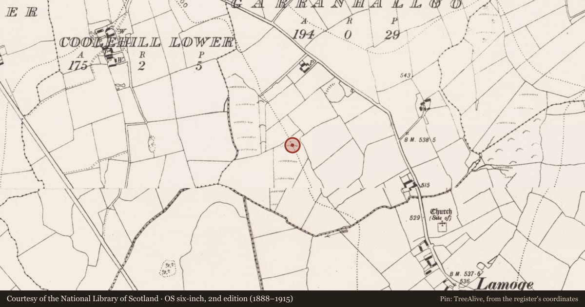 Ordnance Survey six-inch map, 2nd edition (1888–1915) covering the location of Fulacht fia, Garranhalloo, County Kilkenny, with a pin at the register's coordinates