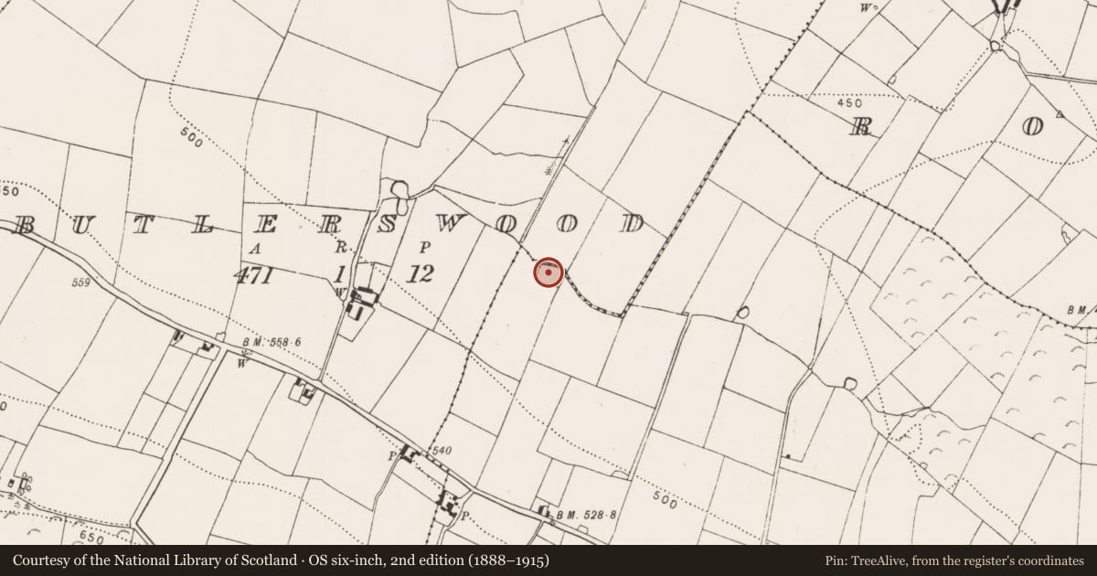 Ordnance Survey six-inch map, 2nd edition (1888–1915) covering the location of Moated site, Rossaneny (Reade), County Kilkenny, with a pin at the register's coordinates