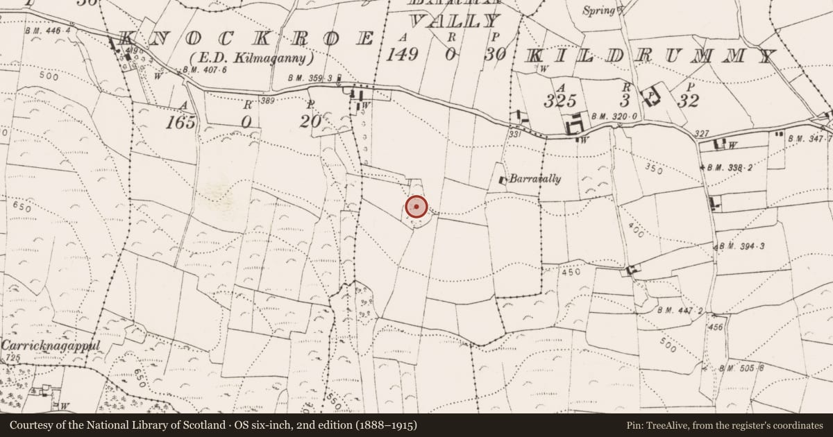 Ordnance Survey six-inch map, 2nd edition (1888–1915) covering the location of Ringfort - unclassified, Barravally, County Kilkenny, with a pin at the register's coordinates