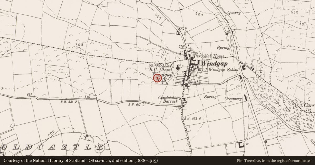 Ordnance Survey six-inch map, 2nd edition (1888–1915) covering the location of Anomalous stone group, Meallaghmore Upper, County Kilkenny, with a pin at the register's coordinates