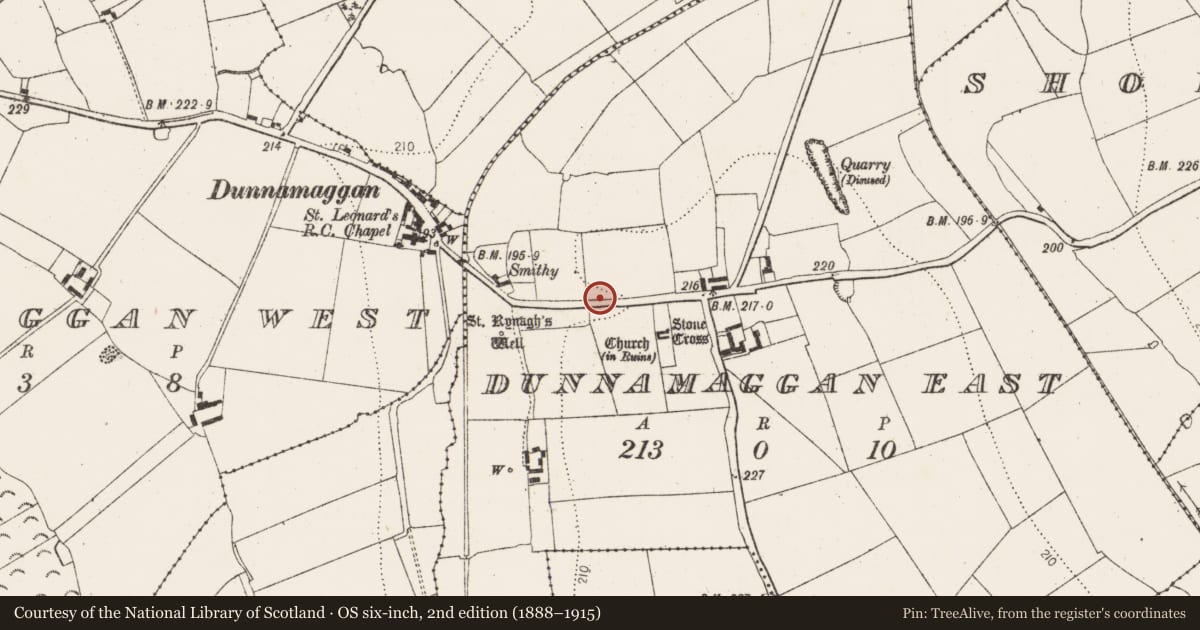 Ordnance Survey six-inch map, 2nd edition (1888–1915) covering the location of Settlement deserted - medieval, Dunnamaggan East, County Kilkenny, with a pin at the register's coordinates