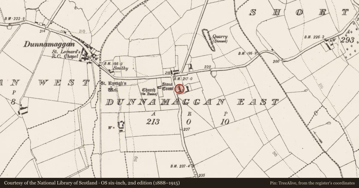 Ordnance Survey six-inch map, 2nd edition (1888–1915) covering the location of Castle - unclassified, Dunnamaggan East, County Kilkenny, with a pin at the register's coordinates