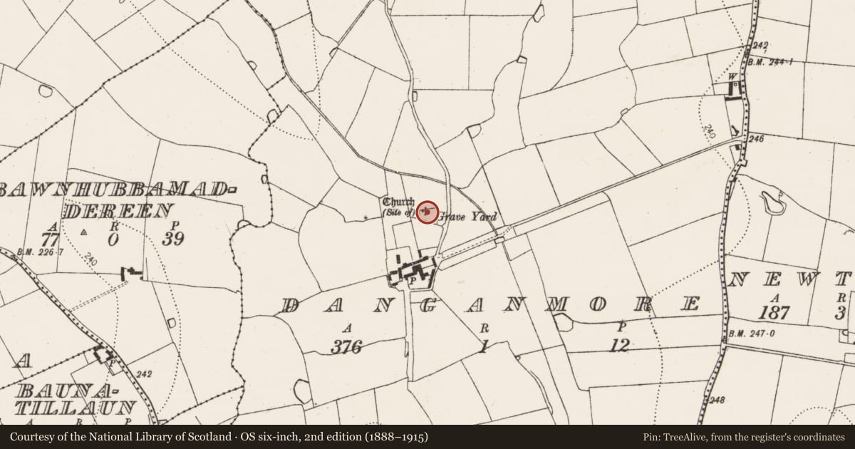 Ordnance Survey six-inch map, 2nd edition (1888–1915) covering the location of Graveyard, Danganmore, County Kilkenny, with a pin at the register's coordinates