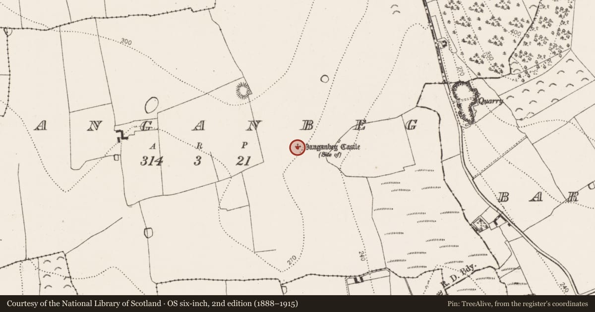 Ordnance Survey six-inch map, 2nd edition (1888–1915) covering the location of Castle - unclassified, Danganbeg, County Kilkenny, with a pin at the register's coordinates