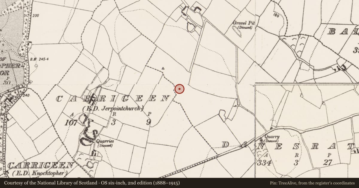 Ordnance Survey six-inch map, 2nd edition (1888–1915) covering the location of Ringfort - unclassified, Danesrath, County Kilkenny, with a pin at the register's coordinates