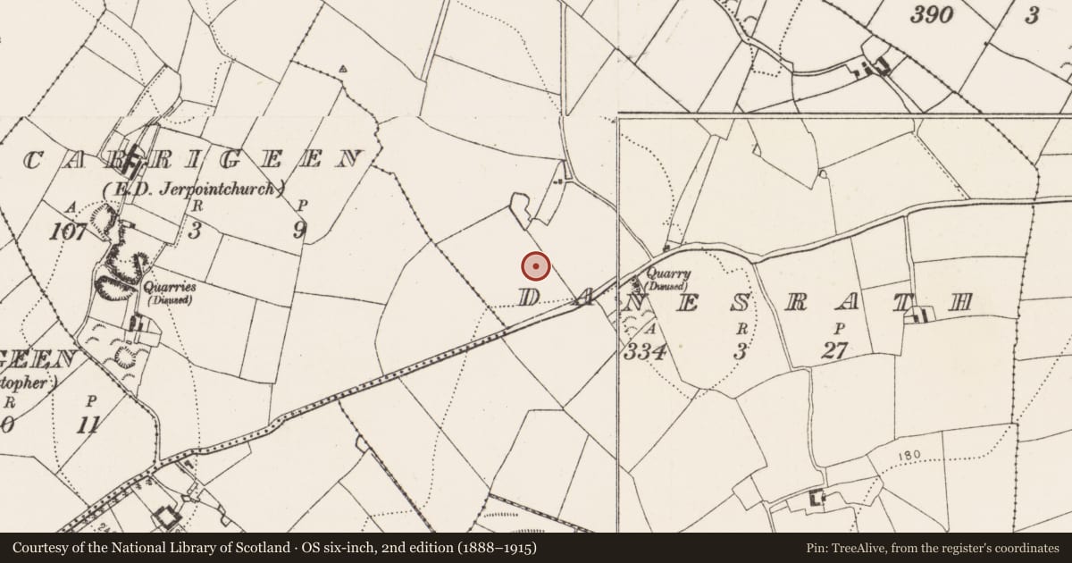 Ordnance Survey six-inch map, 2nd edition (1888–1915) covering the location of Enclosure, Danesrath, County Kilkenny, with a pin at the register's coordinates
