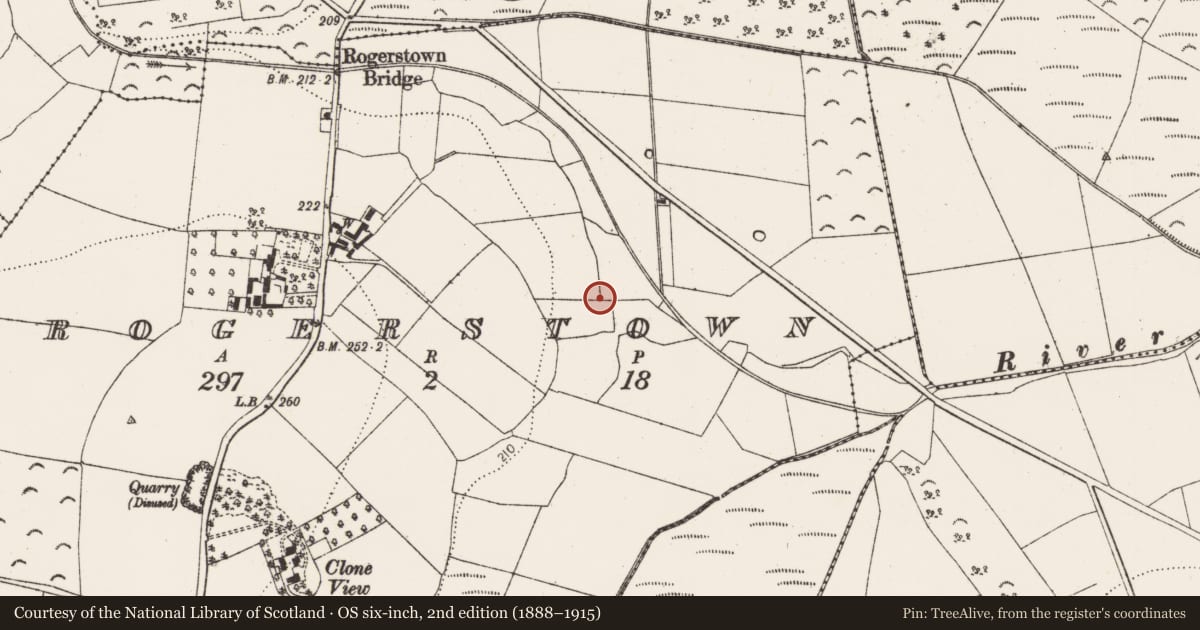 Ordnance Survey six-inch map, 2nd edition (1888–1915) covering the location of Fulacht fia, Rogerstown, County Kilkenny, with a pin at the register's coordinates