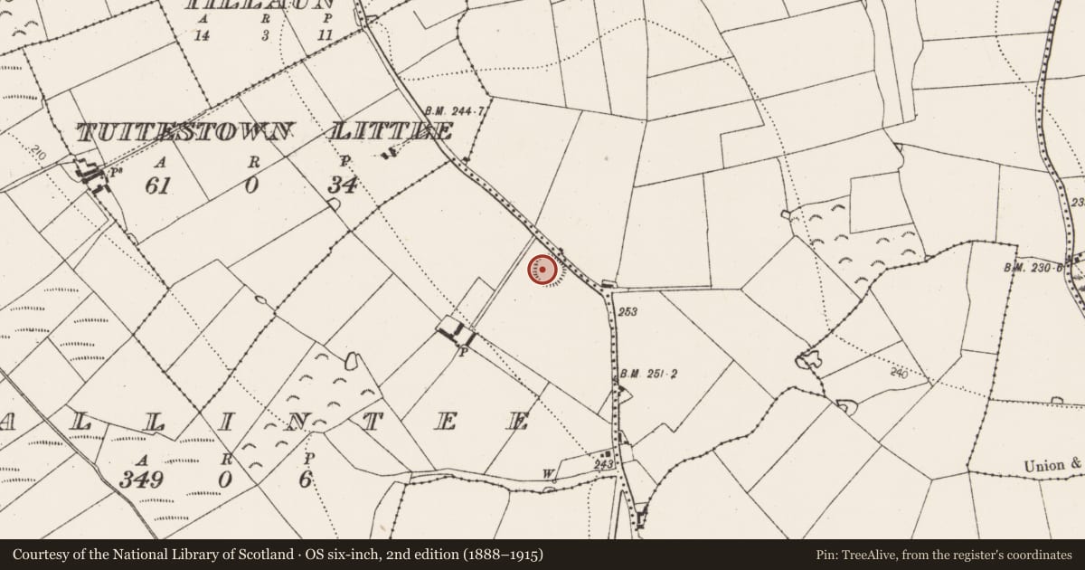 Ordnance Survey six-inch map, 2nd edition (1888–1915) covering the location of Ringfort - unclassified, Ballintee, County Kilkenny, with a pin at the register's coordinates