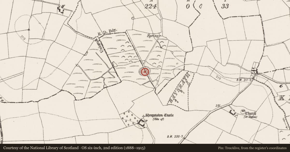 Ordnance Survey six-inch map, 2nd edition (1888–1915) covering the location of Ringfort - unclassified, Baysrath, Sheepstown, County Kilkenny, with a pin at the register's coordinates