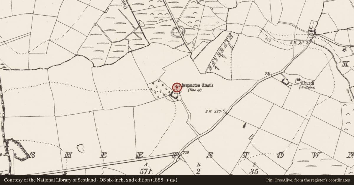 Ordnance Survey six-inch map, 2nd edition (1888–1915) covering the location of Castle - unclassified, Sheepstown, County Kilkenny, with a pin at the register's coordinates