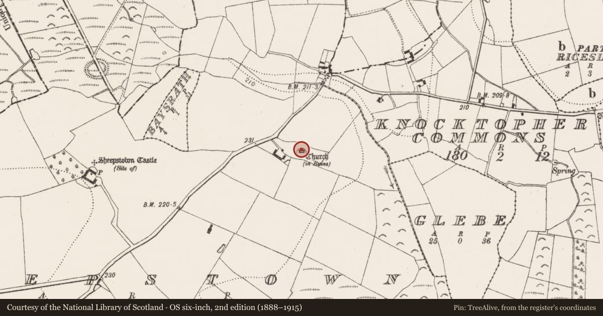 Ordnance Survey six-inch map, 2nd edition (1888–1915) covering the location of Church, Sheepstown, County Kilkenny, with a pin at the register's coordinates