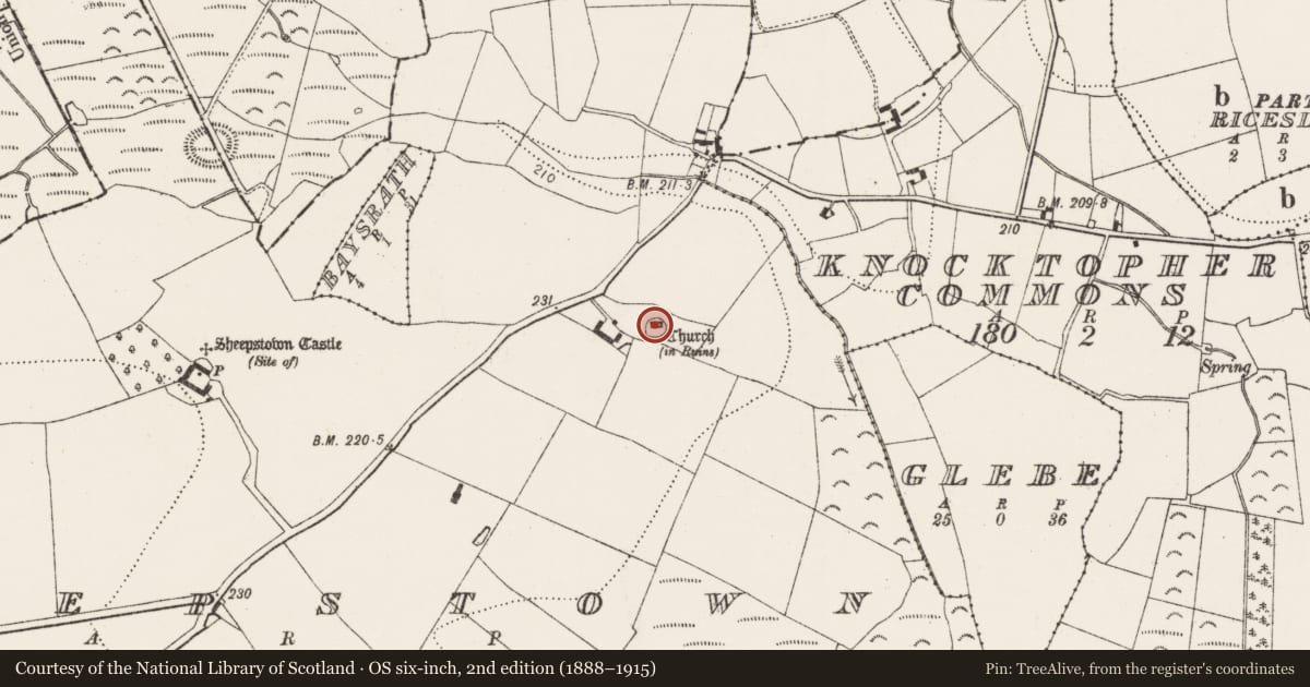 Ordnance Survey six-inch map, 2nd edition (1888–1915) covering the location of Graveyard, Sheepstown, County Kilkenny, with a pin at the register's coordinates