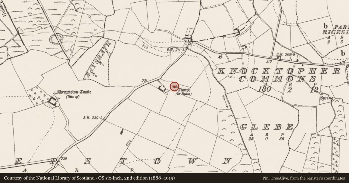 Ordnance Survey six-inch map, 2nd edition (1888–1915) covering the location of Enclosure, Sheepstown, County Kilkenny, with a pin at the register's coordinates