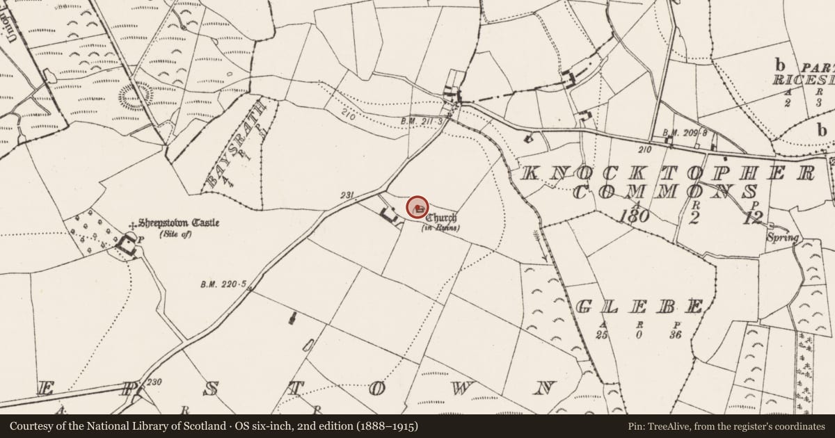 Ordnance Survey six-inch map, 2nd edition (1888–1915) covering the location of Architectural fragment, Sheepstown, County Kilkenny, with a pin at the register's coordinates