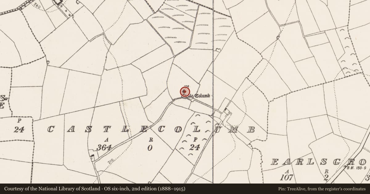 Ordnance Survey six-inch map, 2nd edition (1888–1915) covering the location of Castle - tower house, Castlecolumb, County Kilkenny, with a pin at the register's coordinates