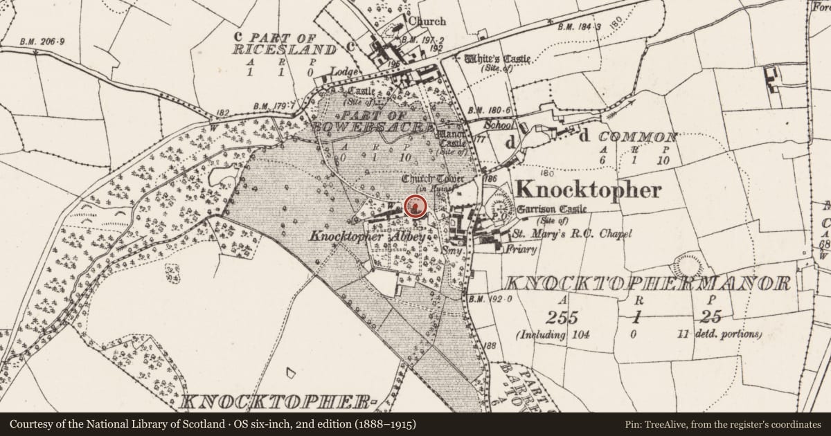 Ordnance Survey six-inch map, 2nd edition (1888–1915) covering the location of Graveslab, Knocktopherabbey, County Kilkenny, with a pin at the register's coordinates