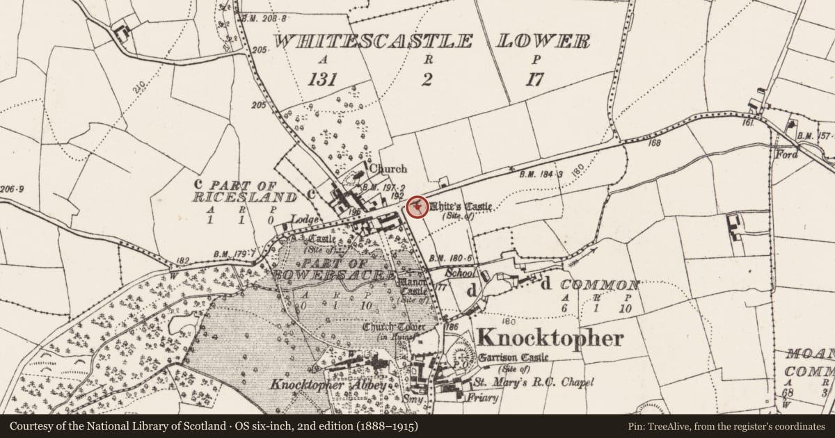 Ordnance Survey six-inch map, 2nd edition (1888–1915) covering the location of Castle - unclassified, Whitescastle Lower, County Kilkenny, with a pin at the register's coordinates