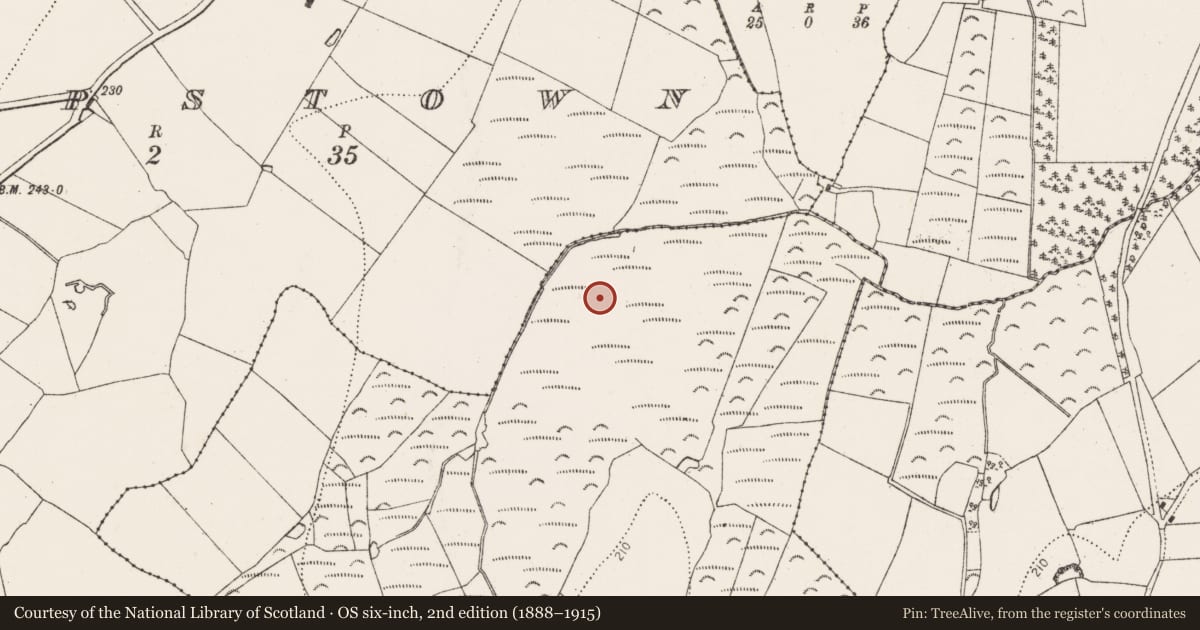 Ordnance Survey six-inch map, 2nd edition (1888–1915) covering the location of Water mill - horizontal-wheeled, Ballygeardra, County Kilkenny, with a pin at the register's coordinates