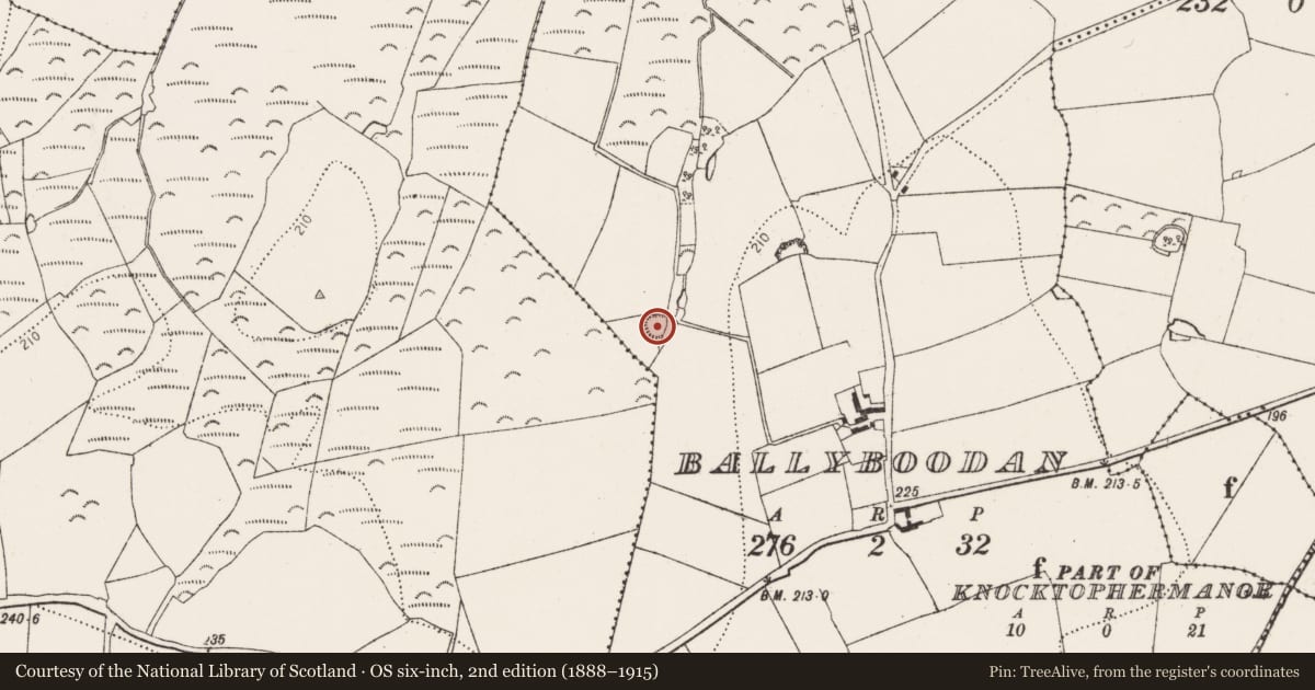 Ordnance Survey six-inch map, 2nd edition (1888–1915) covering the location of Ringfort - rath, Ballyboodan, County Kilkenny, with a pin at the register's coordinates