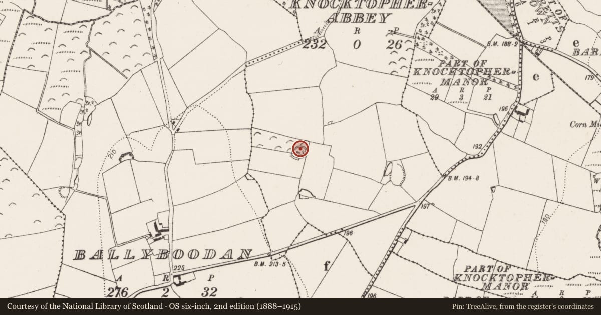 Ordnance Survey six-inch map, 2nd edition (1888–1915) covering the location of Ringfort - rath, Knocktopherabbey, County Kilkenny, with a pin at the register's coordinates