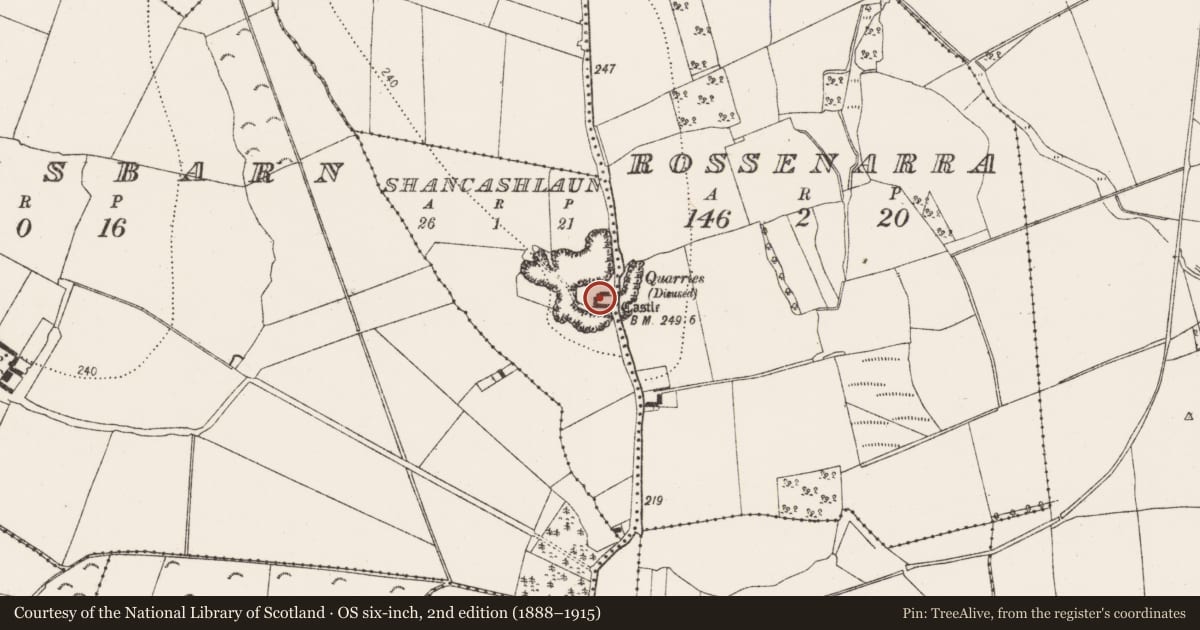 Ordnance Survey six-inch map, 2nd edition (1888–1915) covering the location of Enclosure, Shancashlaun, County Kilkenny, with a pin at the register's coordinates