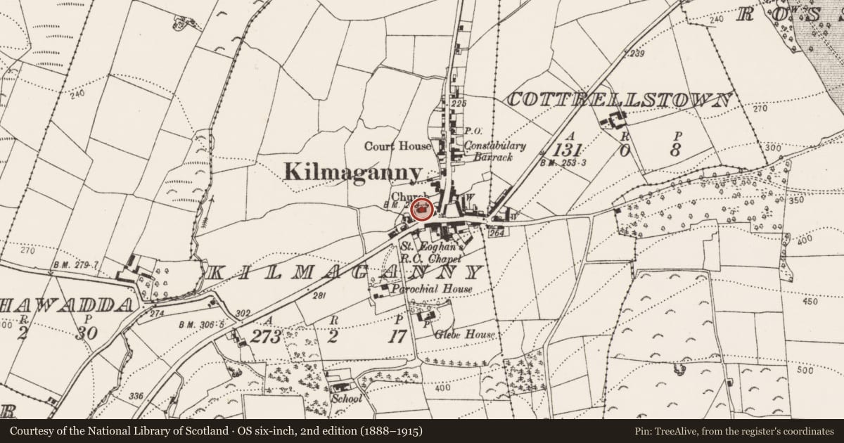Ordnance Survey six-inch map, 2nd edition (1888–1915) covering the location of Church, Kilmaganny, County Kilkenny, with a pin at the register's coordinates