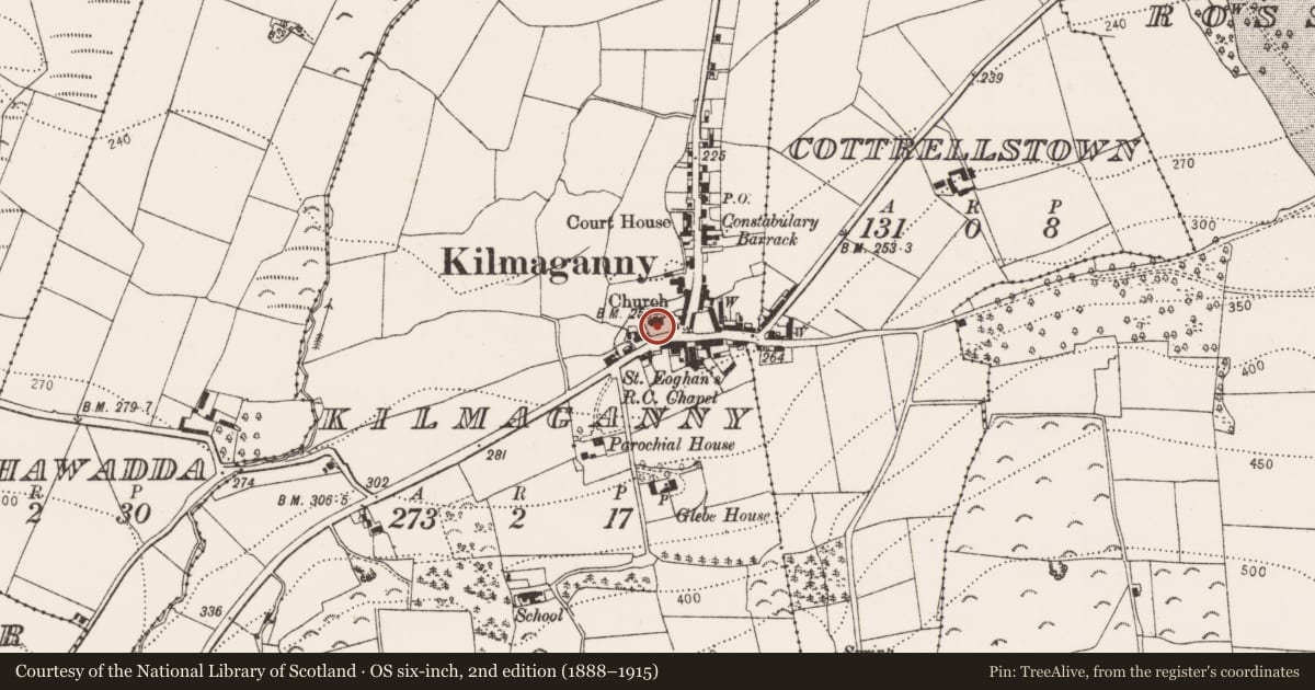 Ordnance Survey six-inch map, 2nd edition (1888–1915) covering the location of Graveyard, Kilmaganny, County Kilkenny, with a pin at the register's coordinates