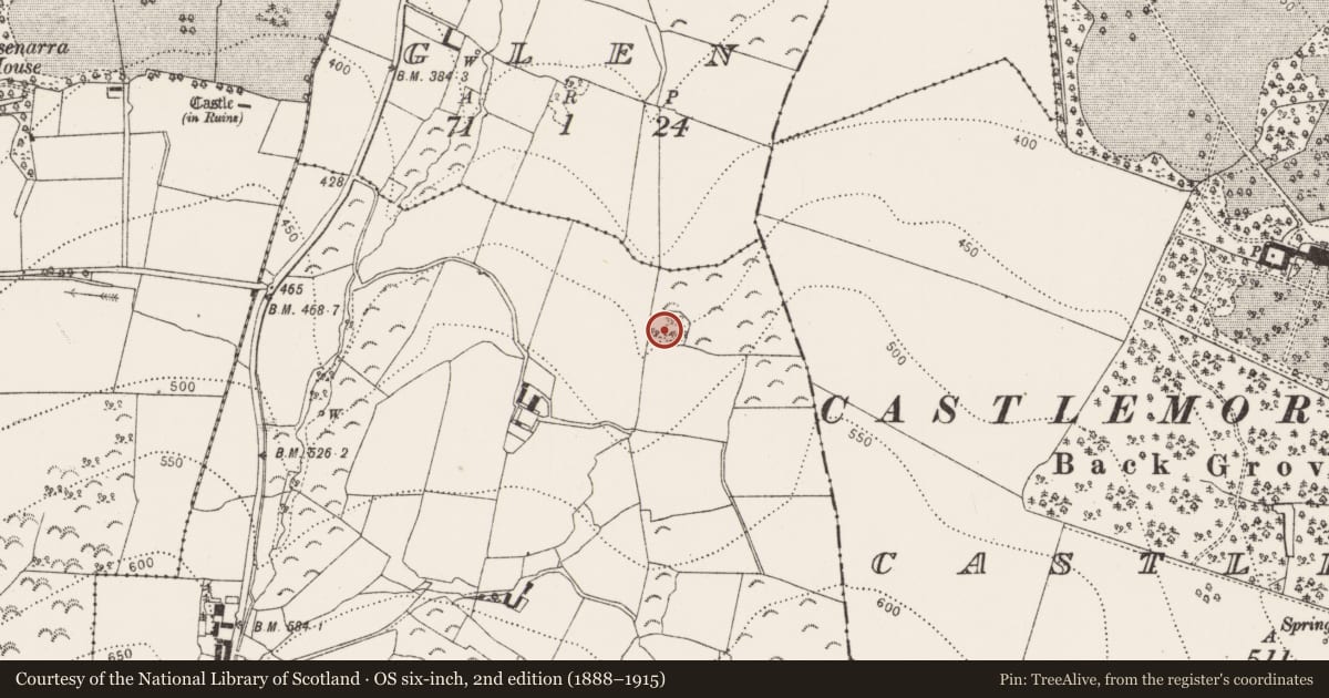 Ordnance Survey six-inch map, 2nd edition (1888–1915) covering the location of Enclosure, Carrigatna, County Kilkenny, with a pin at the register's coordinates