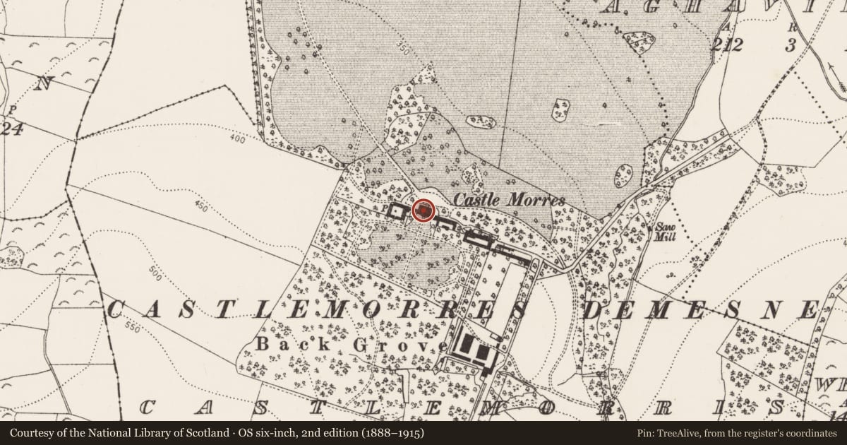Ordnance Survey six-inch map, 2nd edition (1888–1915) covering the location of Castle - unclassified, Castlemorris, County Kilkenny, with a pin at the register's coordinates