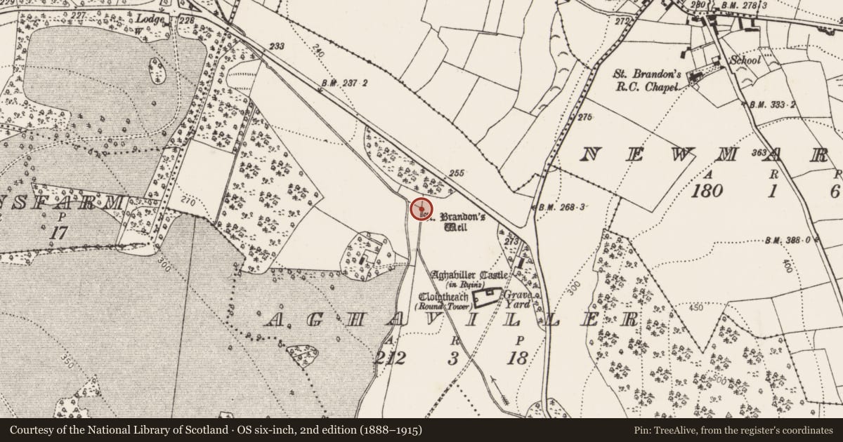 Ordnance Survey six-inch map, 2nd edition (1888–1915) covering the location of Ritual site - holy well, Aghaviller, County Kilkenny, with a pin at the register's coordinates