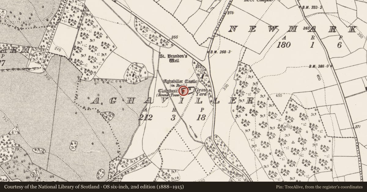 Ordnance Survey six-inch map, 2nd edition (1888–1915) covering the location of Round tower, Aghaviller, County Kilkenny, with a pin at the register's coordinates