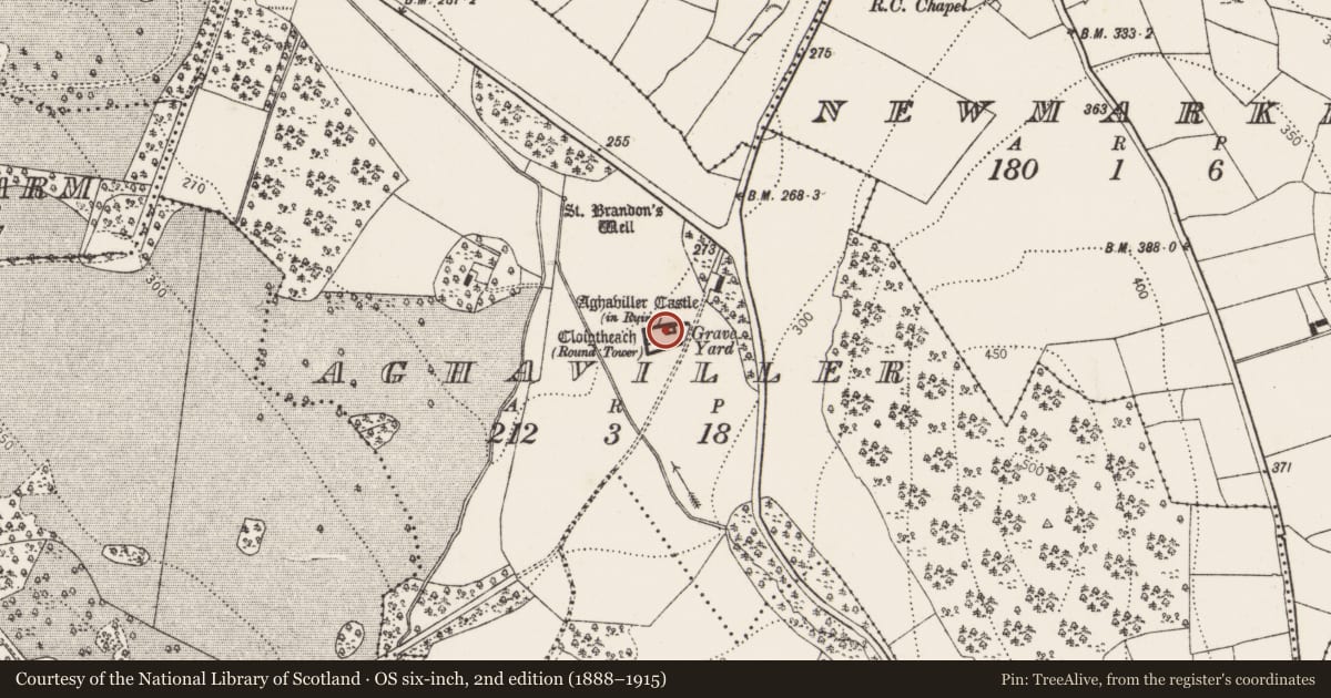 Ordnance Survey six-inch map, 2nd edition (1888–1915) covering the location of Graveyard, Aghaviller, County Kilkenny, with a pin at the register's coordinates
