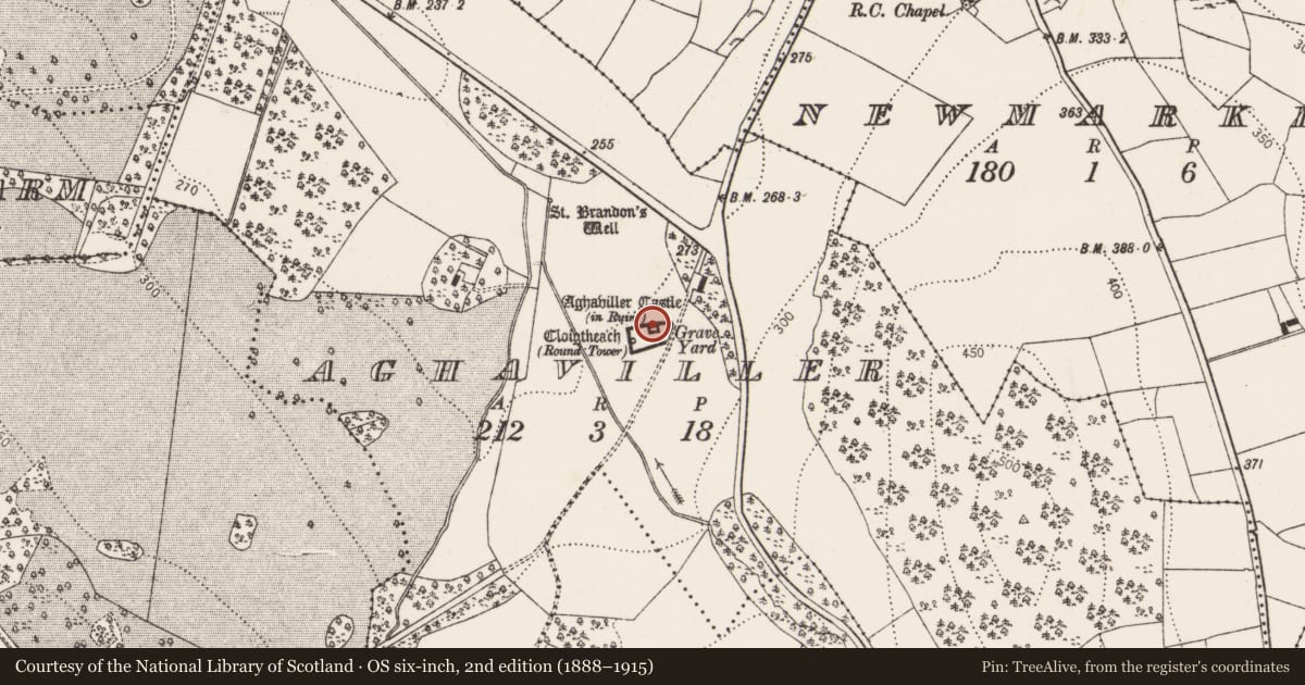 Ordnance Survey six-inch map, 2nd edition (1888–1915) covering the location of Church, Aghaviller, County Kilkenny, with a pin at the register's coordinates