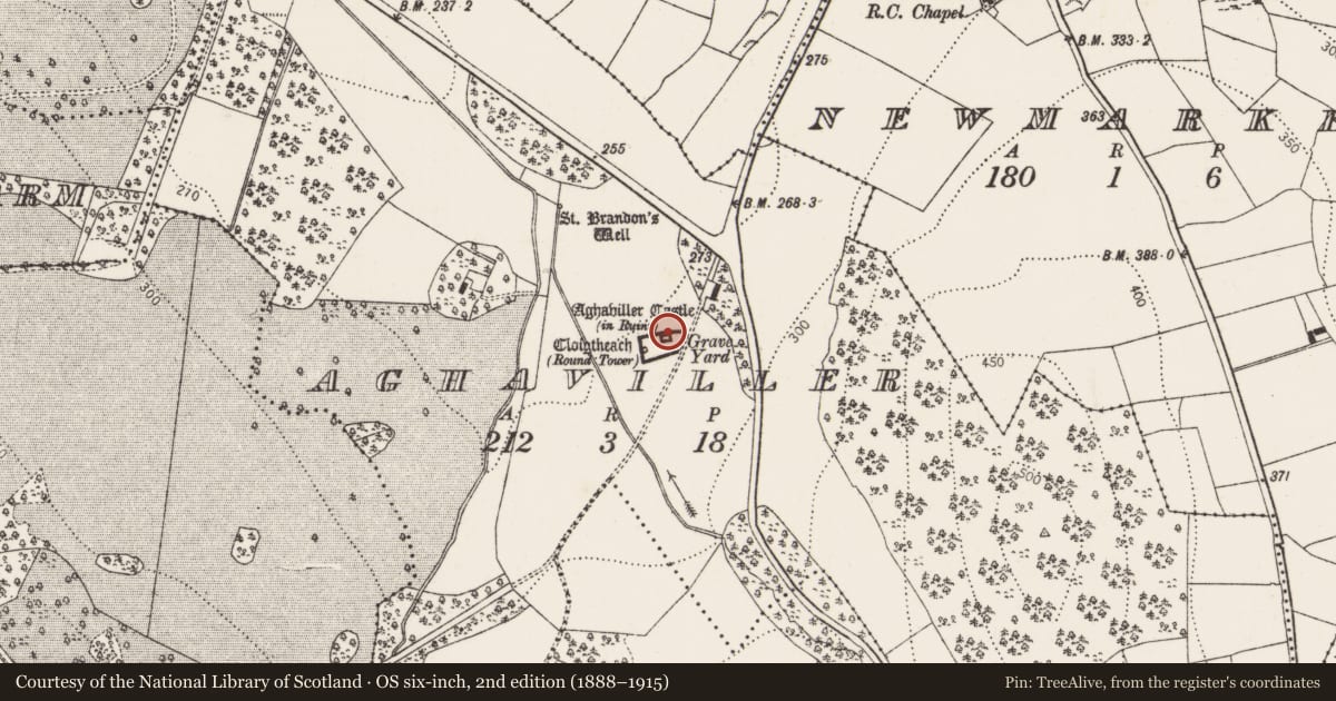 Ordnance Survey six-inch map, 2nd edition (1888–1915) covering the location of Castle - tower house, Aghaviller, County Kilkenny, with a pin at the register's coordinates