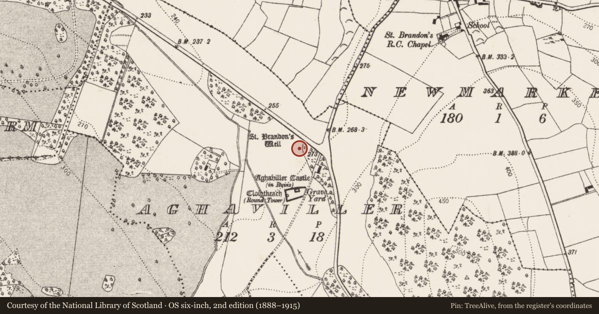 Ordnance Survey six-inch map, 2nd edition (1888–1915) covering the location of Ecclesiastical enclosure, Aghaviller, County Kilkenny, with a pin at the register's coordinates