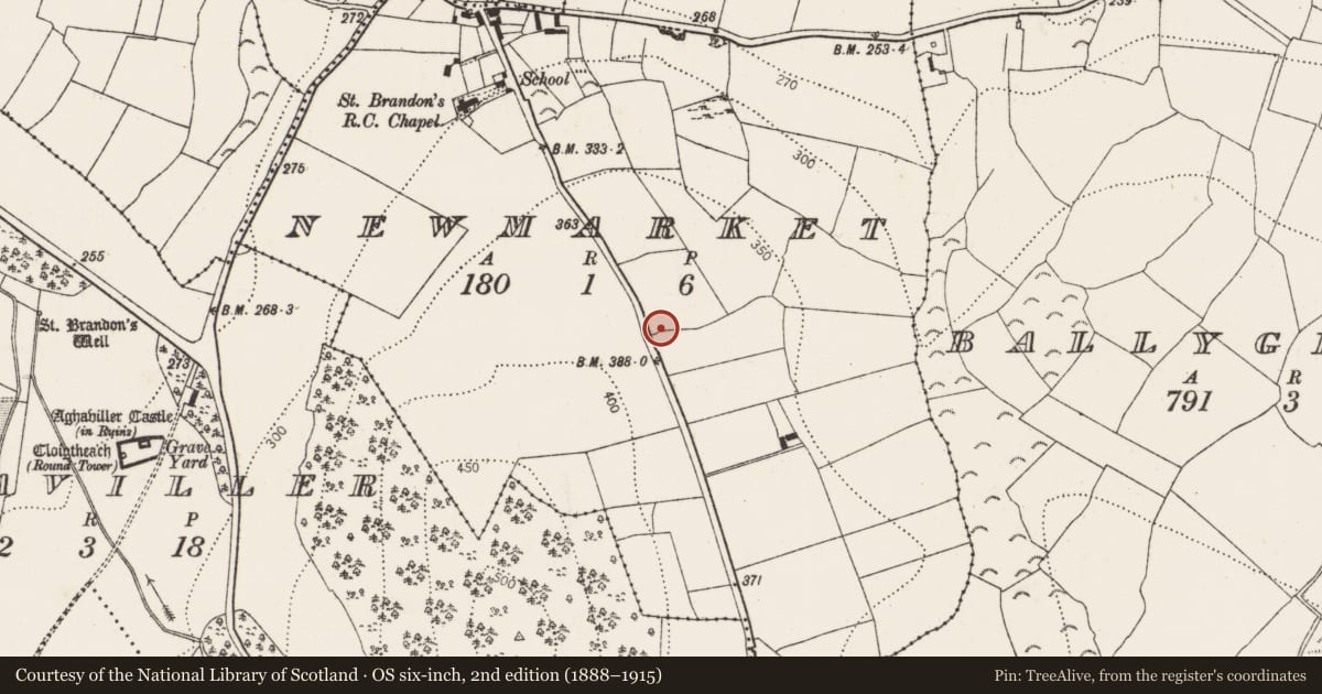 Ordnance Survey six-inch map, 2nd edition (1888–1915) covering the location of Megalithic tomb - portal tomb, Newmarket, County Kilkenny, with a pin at the register's coordinates