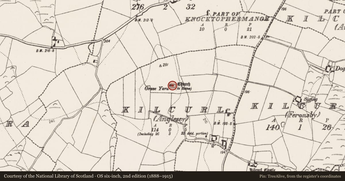 Ordnance Survey six-inch map, 2nd edition (1888–1915) covering the location of Graveyard, Kilcurl (Anglesea), County Kilkenny, with a pin at the register's coordinates