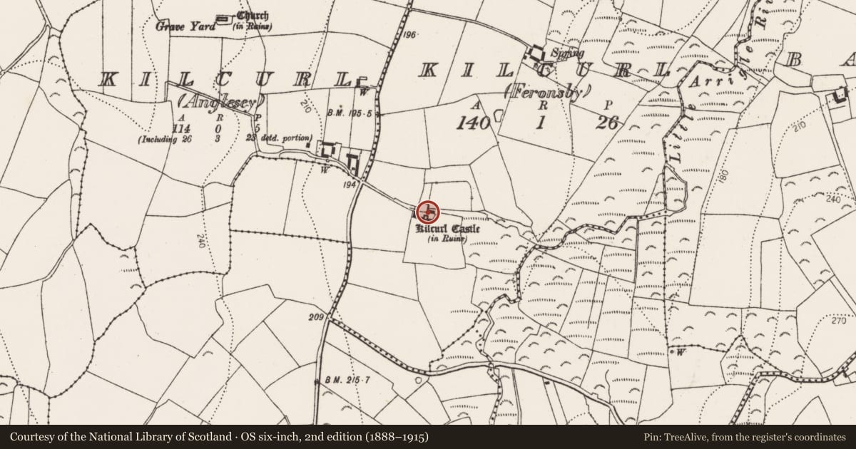 Ordnance Survey six-inch map, 2nd edition (1888–1915) covering the location of Castle - tower house, Kilcurl (Feronsby), County Kilkenny, with a pin at the register's coordinates