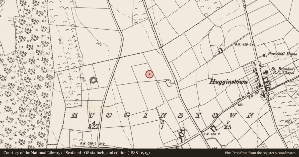 Ordnance Survey six-inch map, 2nd edition (1888–1915) covering the location of Enclosure, Hugginstown, County Kilkenny, with a pin at the register's coordinates