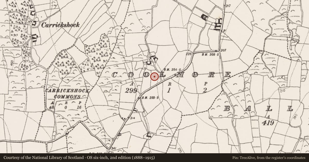 Ordnance Survey six-inch map, 2nd edition (1888–1915) covering the location of Flat cemetery, Coolmore, County Kilkenny, with a pin at the register's coordinates