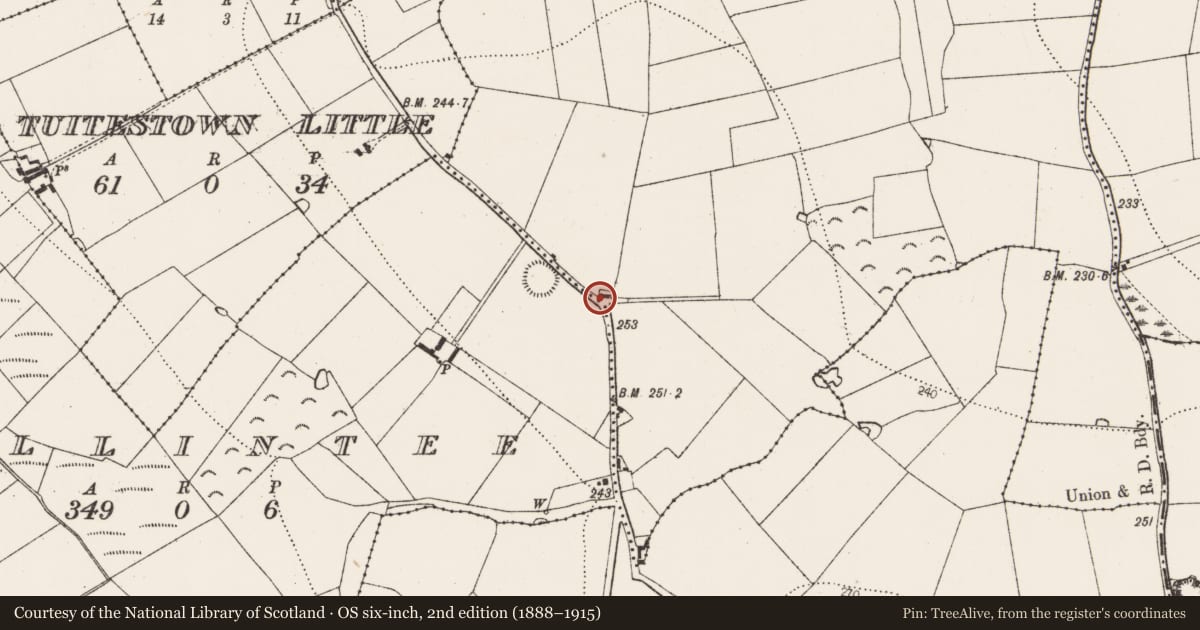 Ordnance Survey six-inch map, 2nd edition (1888–1915) covering the location of Cross - Wayside cross, Danganmore, County Kilkenny, with a pin at the register's coordinates